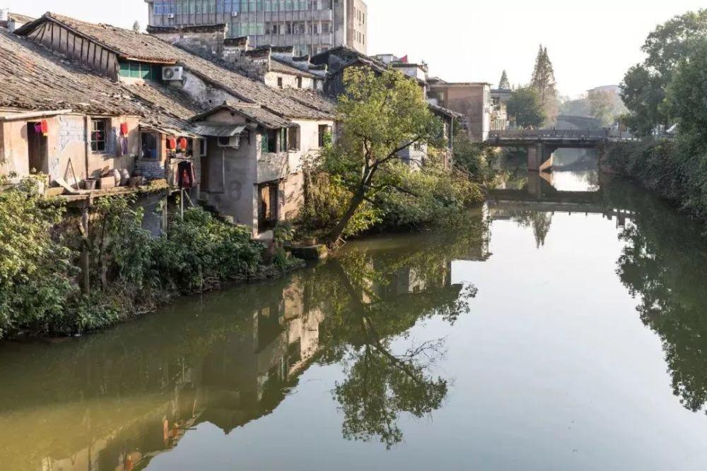 救援墨镜哥